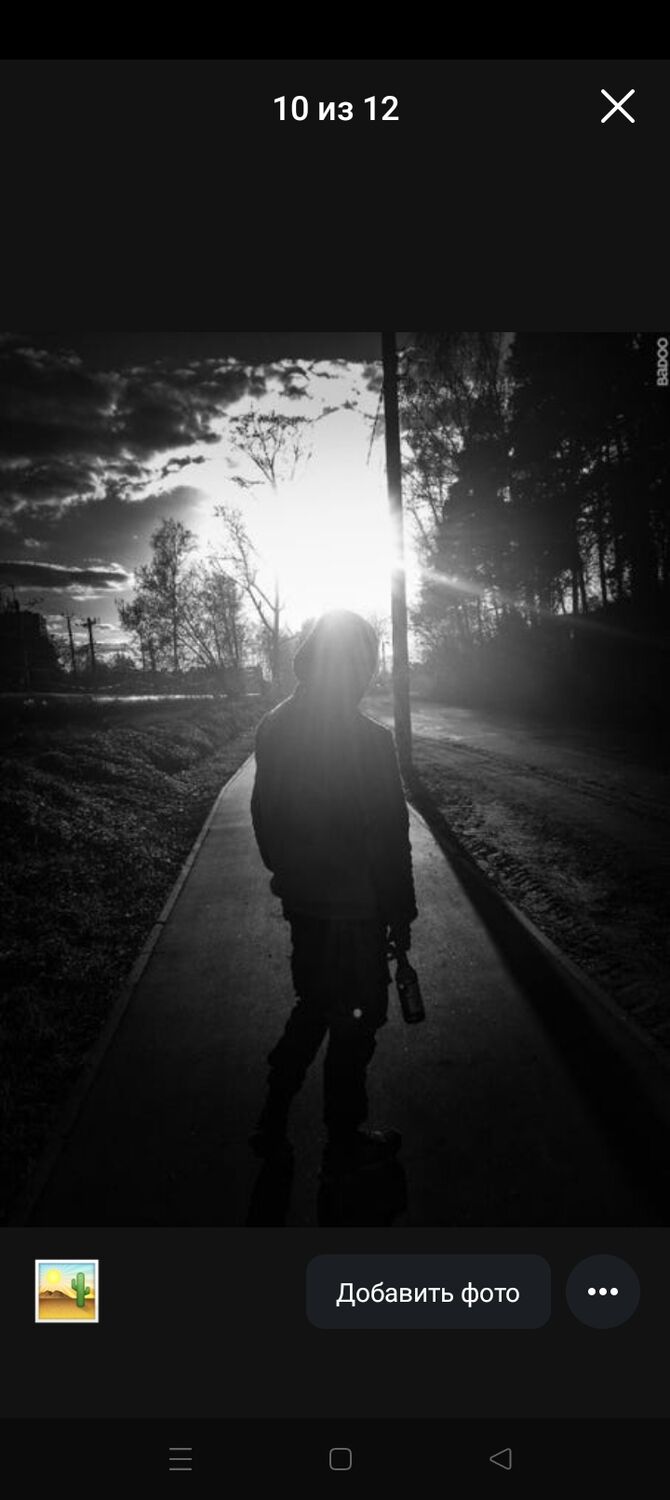 ���������� ������, ���� ������� ����, 29 ���, ������������ ��� ������, ����� � ���������, c�������� ���������