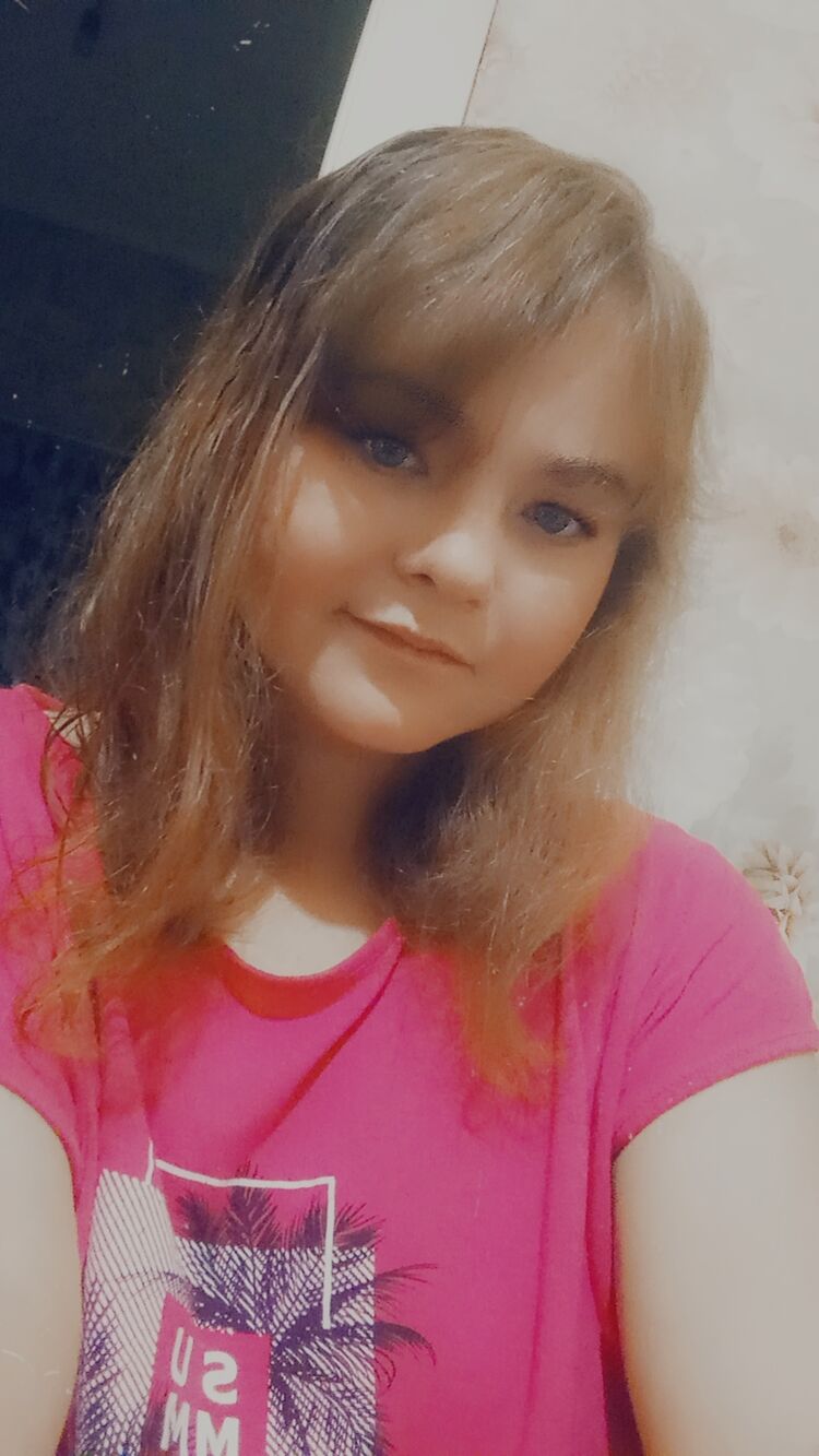  53681033  , 26 ,    