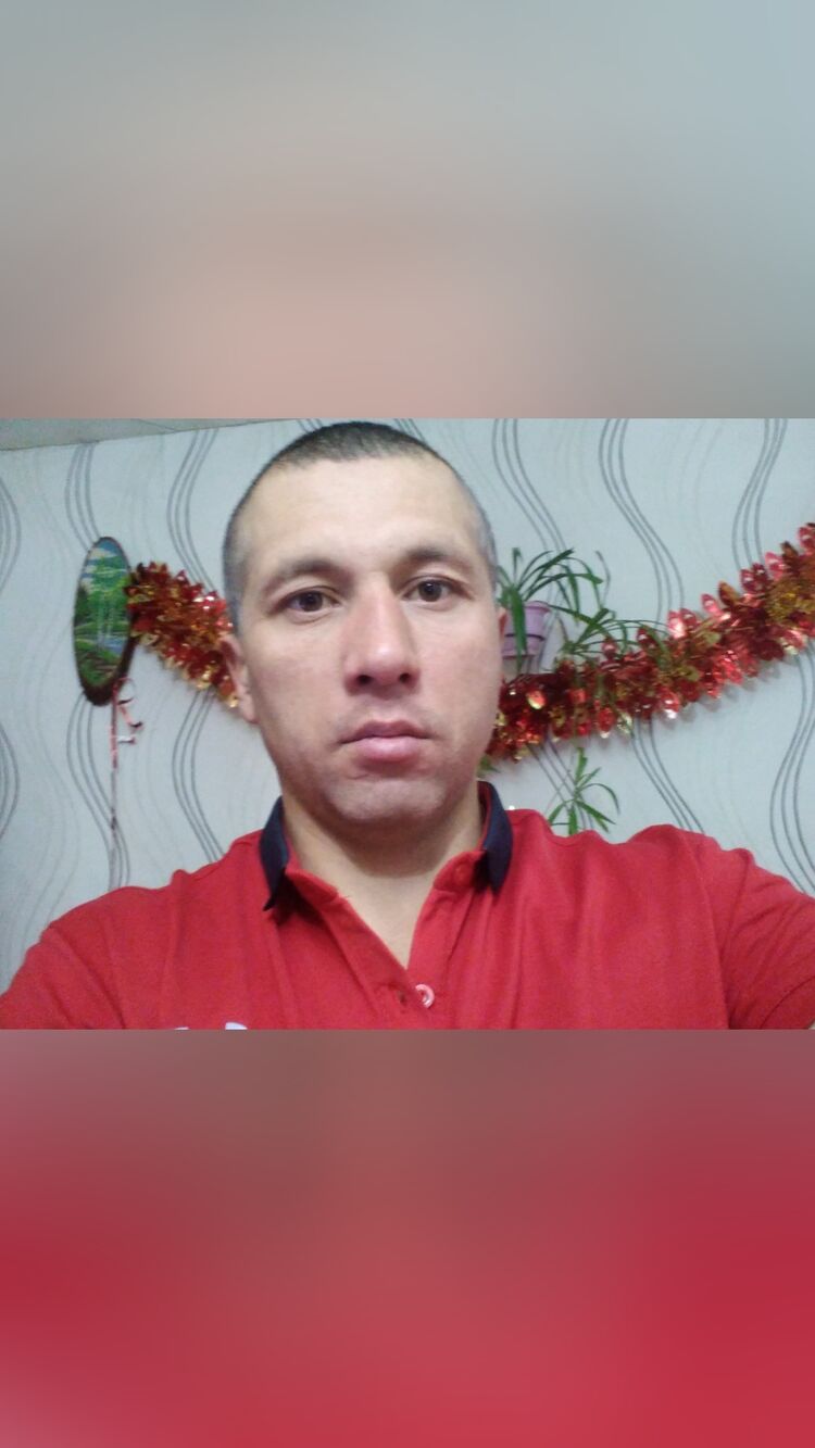  31955343  , 42 ,    