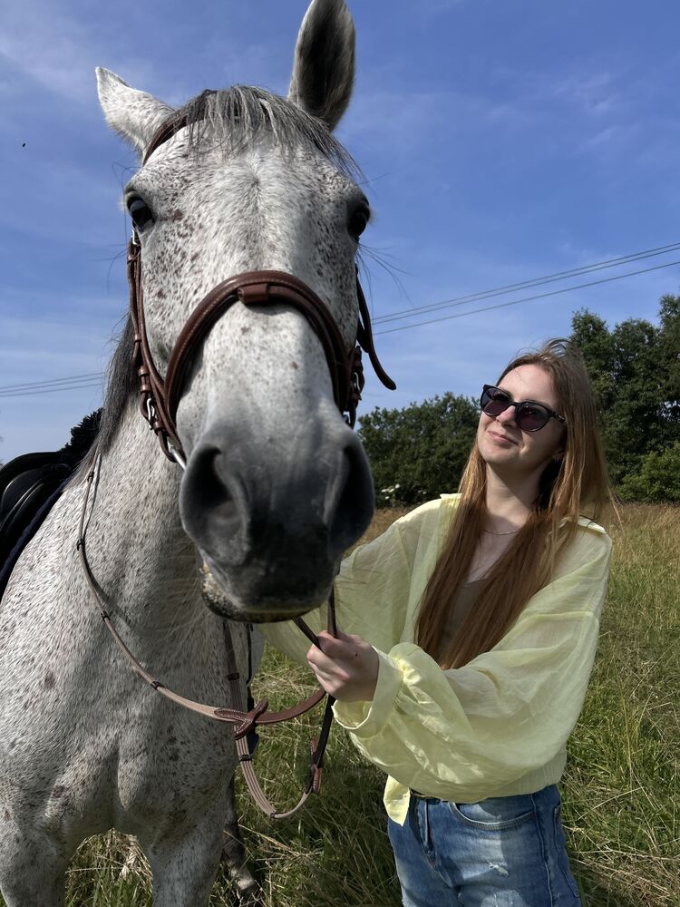 ���������� �����-���������, ���� ������� ��������, 31 ���, ������������ ��� ���������