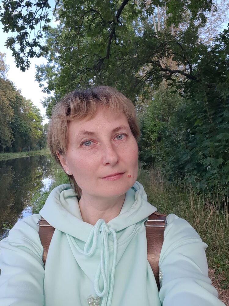  54173783  , 43 ,    -