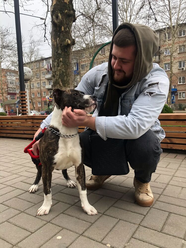 ���� 46081093 ������� Osman, 27 ���, ���� ���������� � ������������