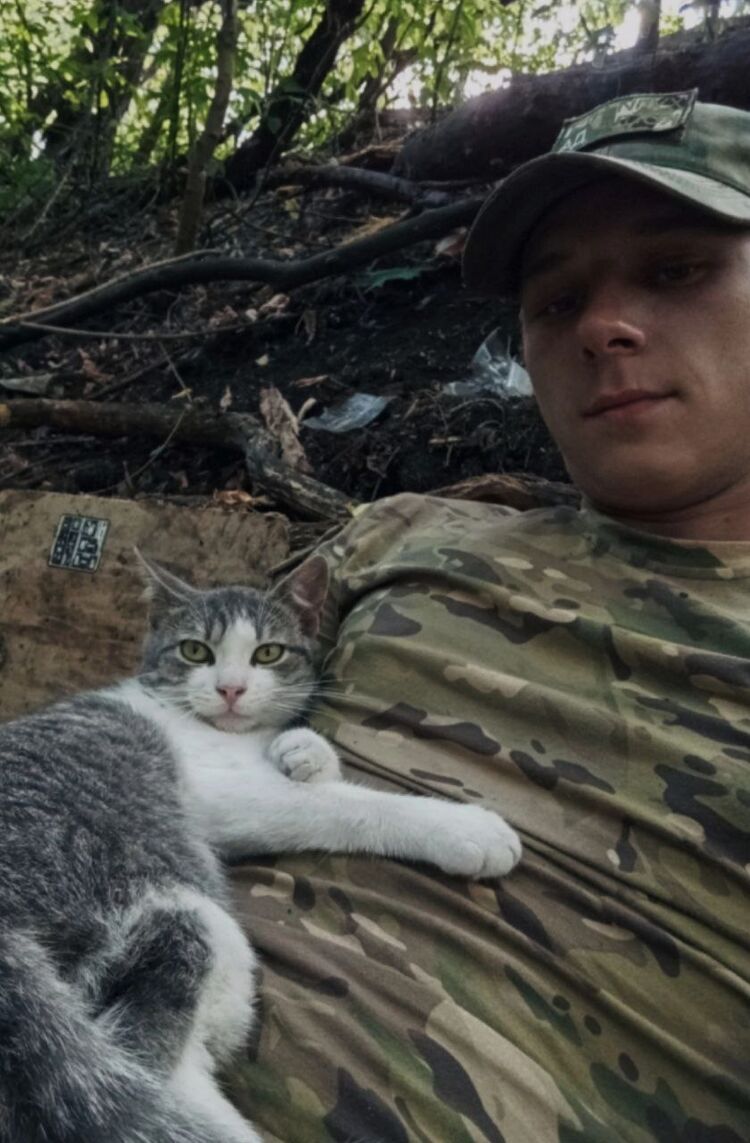 ���������� �����������, ���� ����� �����, 23 ����, ������������ ��� ������, ����� � ���������