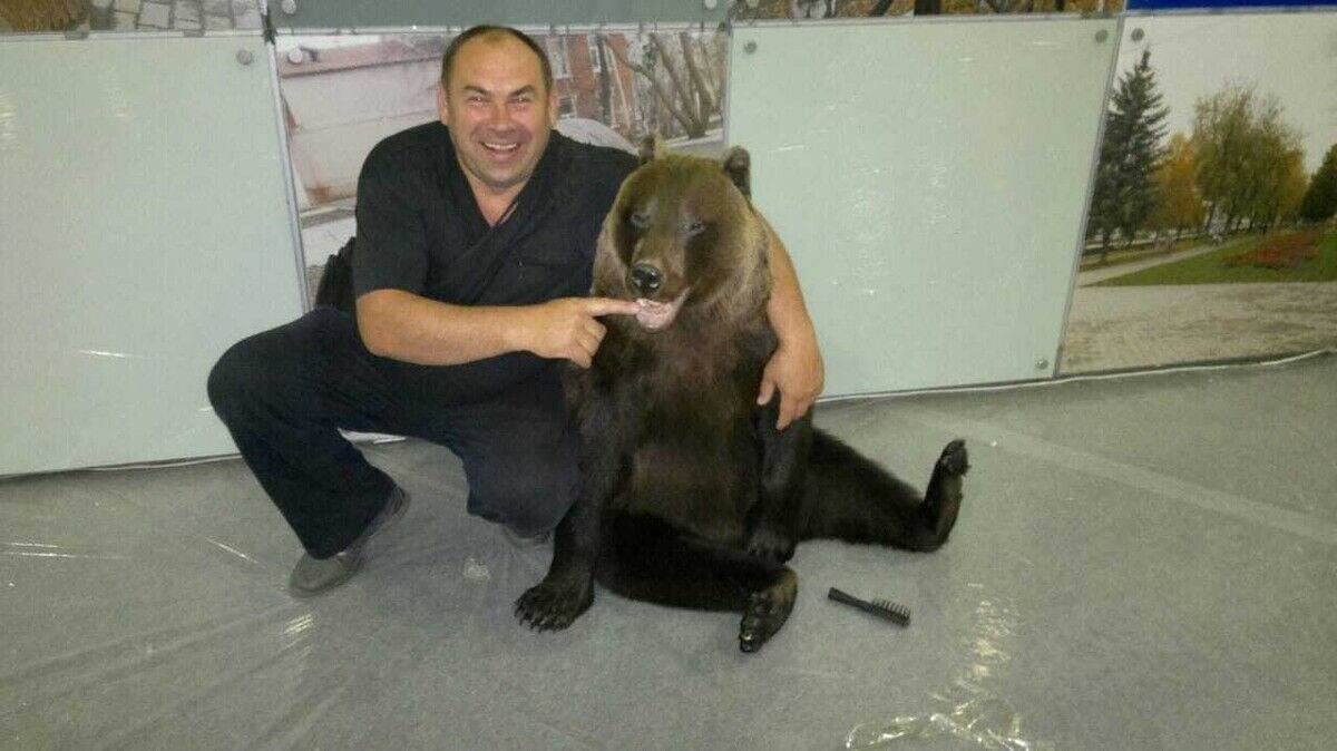 ���� 20168613 ������� �������, 57 ���, ���� ���������� � ����