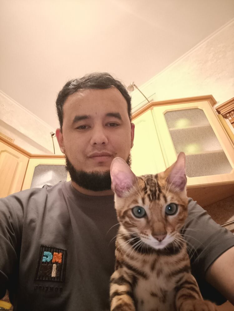 ���� 46266613 ������� �����, 28 ���, ���� ���������� � ������