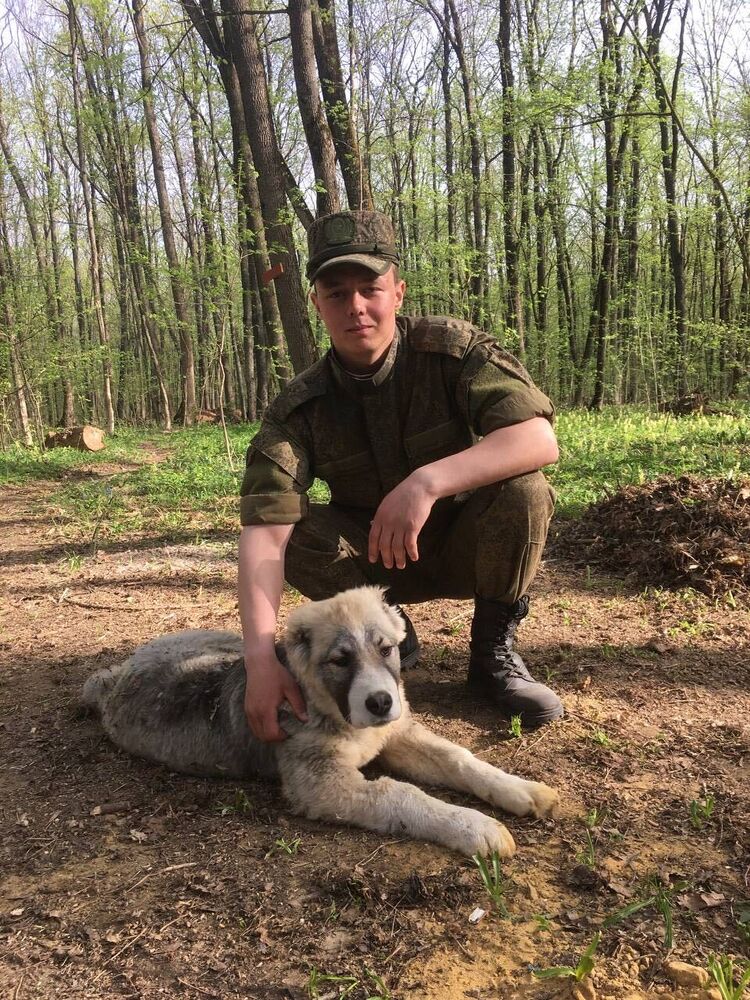 ���� 44190313 ����� ������, 22 ����, ���� ���������� � ������