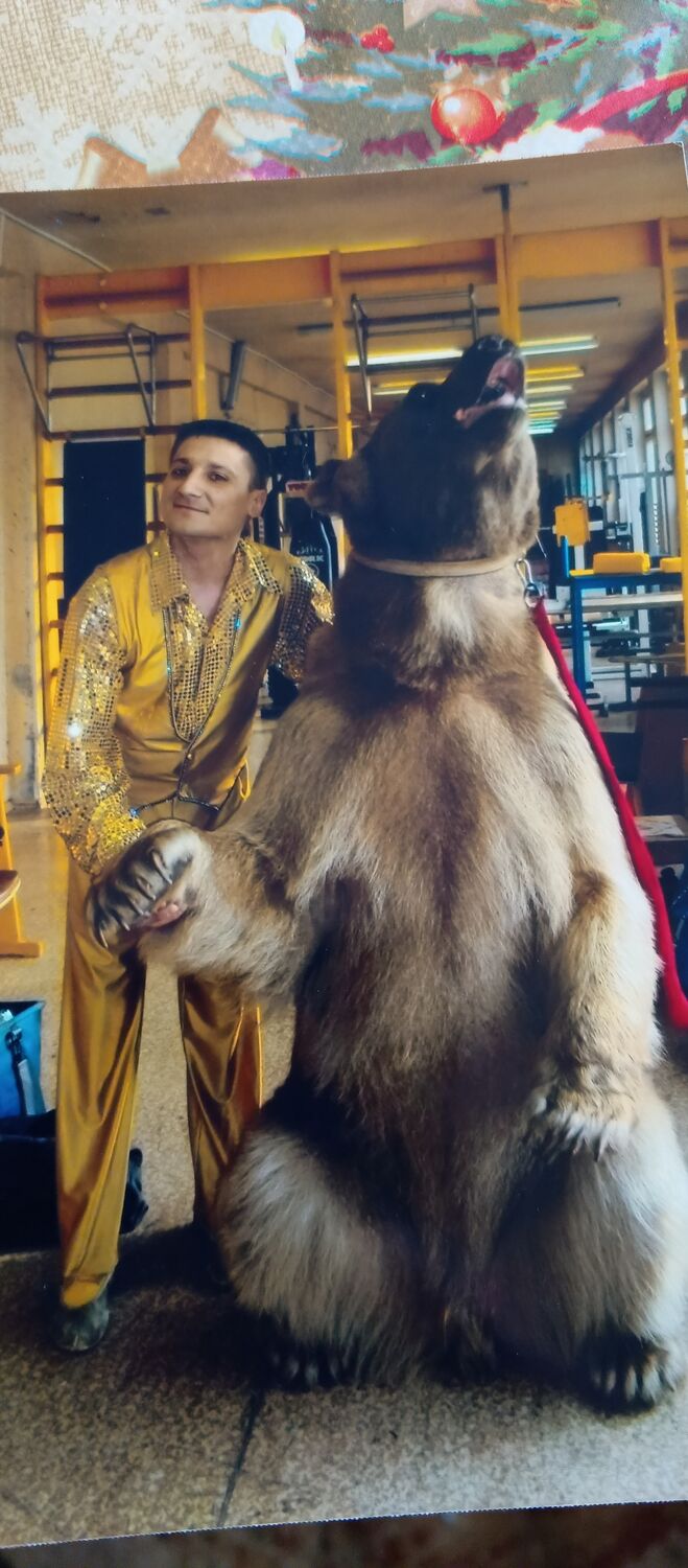 ���������� ����������, ���� ������� ������, 50 ���, ������������ ��� ����� � ���������, c�������� ���������