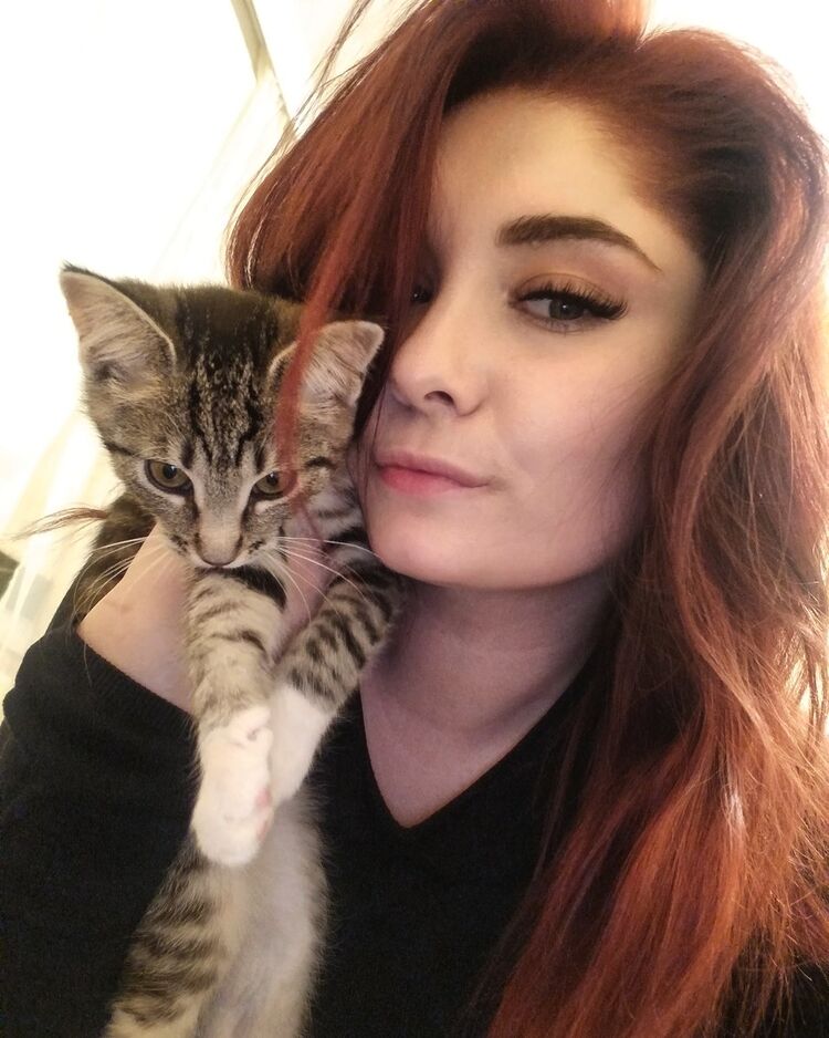 ���������� ������, ���� ������� ����, 26 ���, ������������ ��� ������, ����� � ���������, c�������� ���������