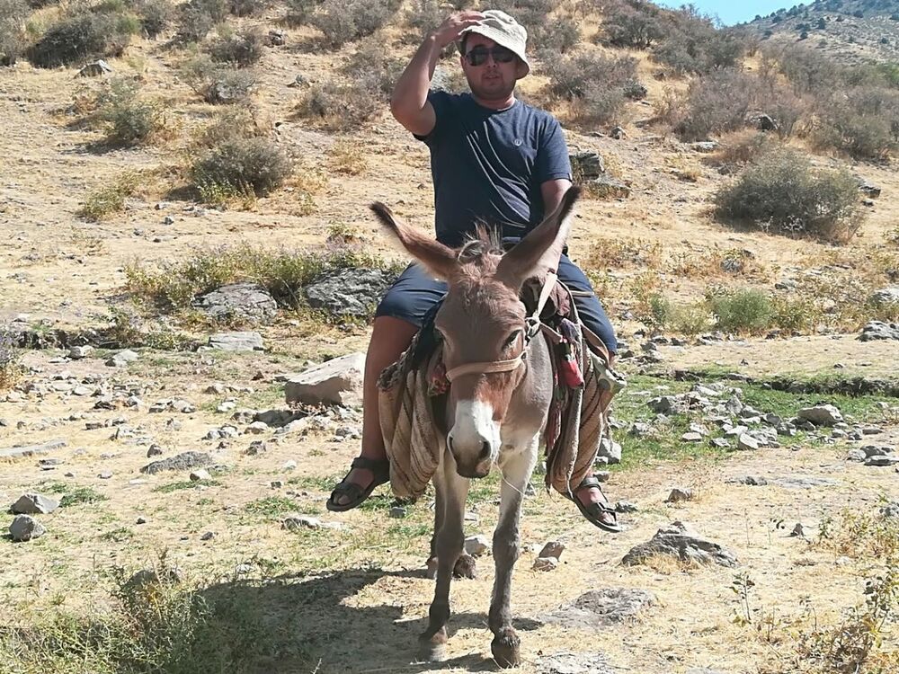 ���������� �������, ���� ������� ����������, 41 ���, ������������ ��� ����� � ���������, c�������� ���������