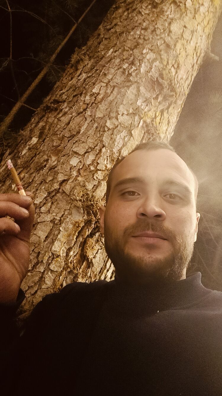 ���� 50798083 ������� �����, 36 ���, ���� ���������� � ���������-��-������