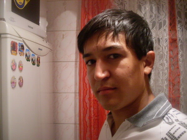  8435853  NOKIA, 33 ,    