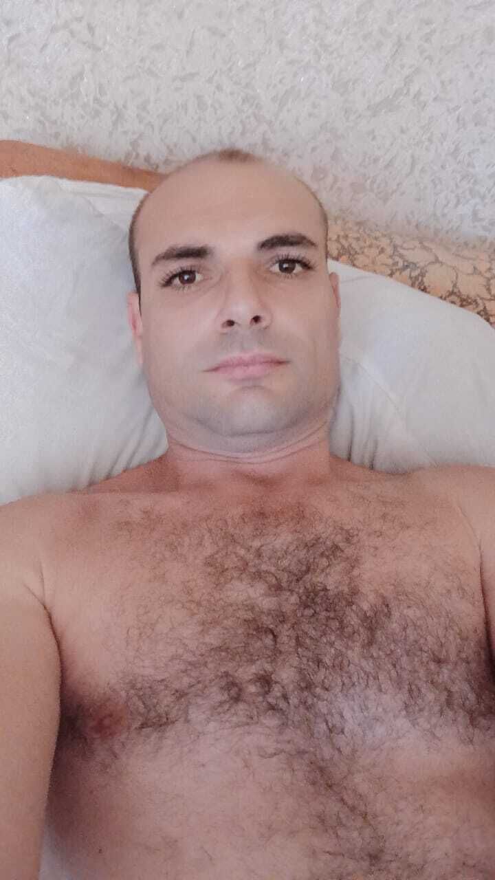 45728433  , 41 ,    