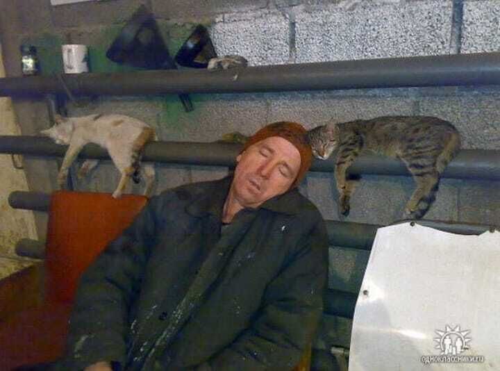 ���� 55531133 ������� �����, 51 ���, ���� ���������� � ������ ������