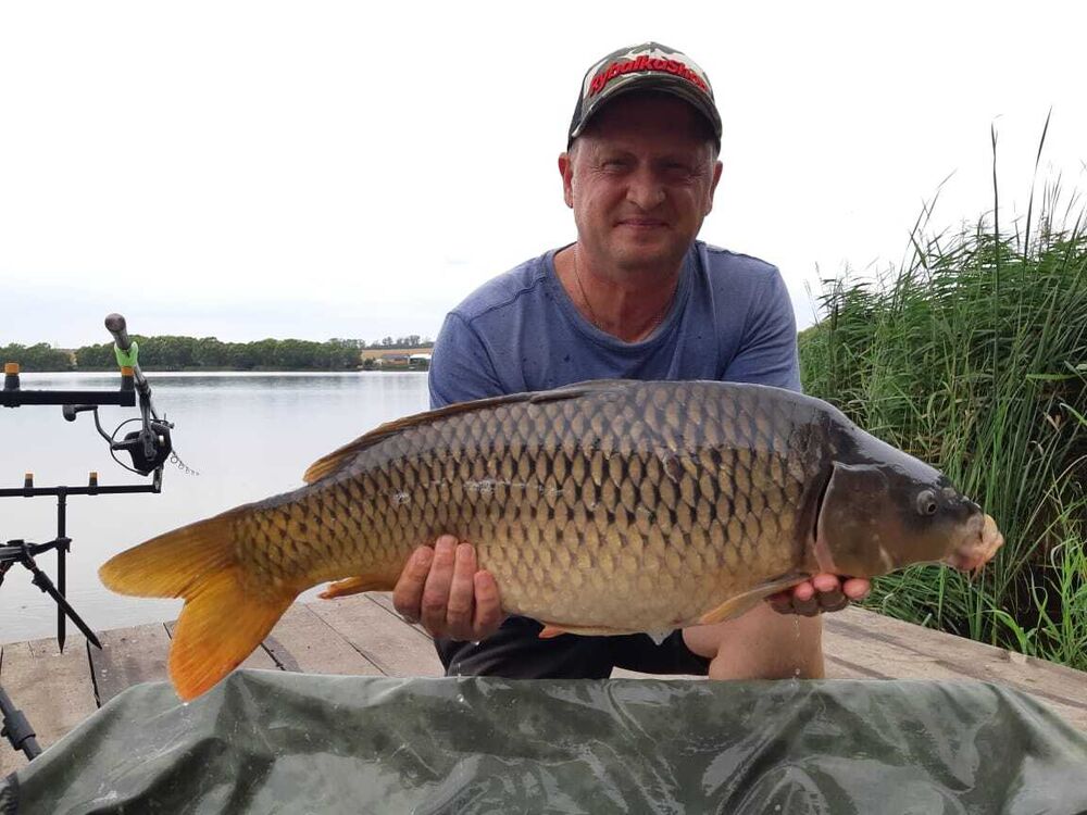 ���������� ������, ���� ������� �����, 42 ����, ������������ ��� ������, ����� � ���������, ���������