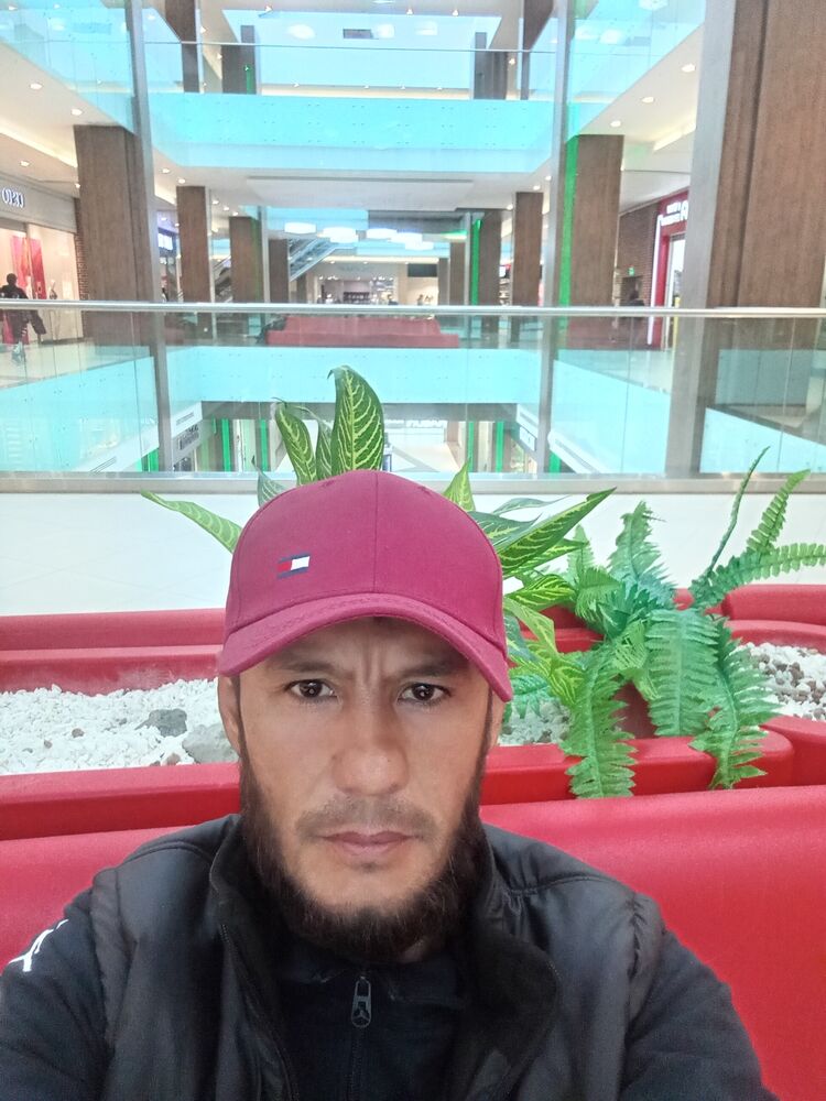   ,   , 41 ,   ,   