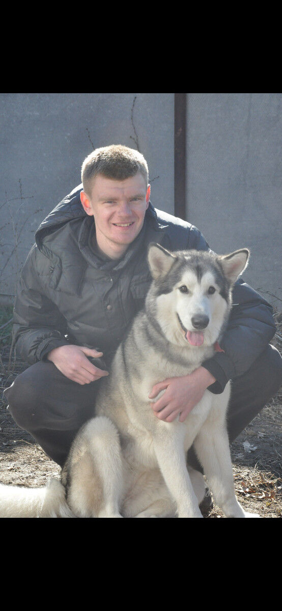 ���������� ����, ���� ������� ����, 38 ���, ������������ ��� ����� � ���������, c�������� ���������