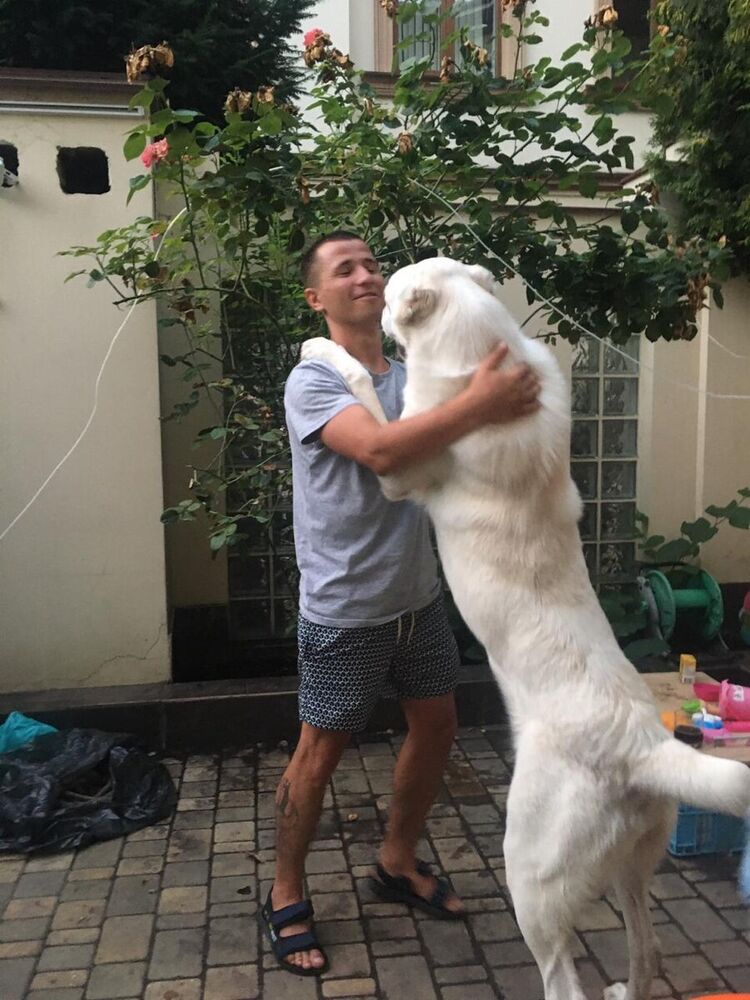 ���������� ������, ���� ������� �����, 33 ����, ������������ ��� ������, ����� � ���������, c�������� ���������