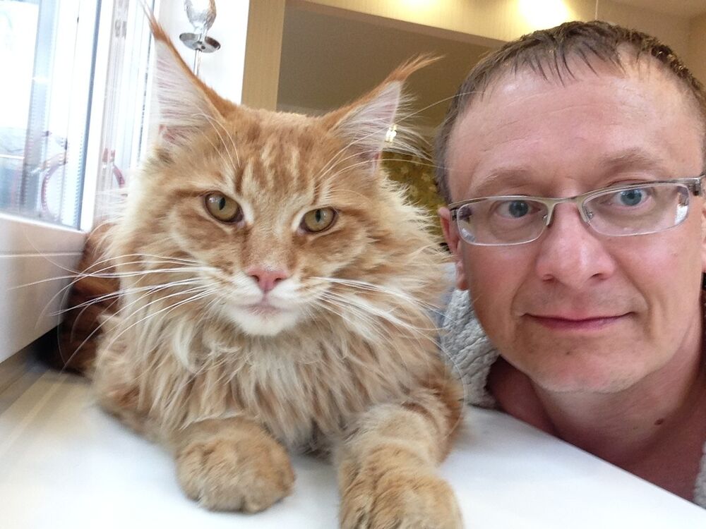 ���������� ������, ���� ������� ���������, 48 ���, ������������ ��� ����� � ���������, c�������� ���������