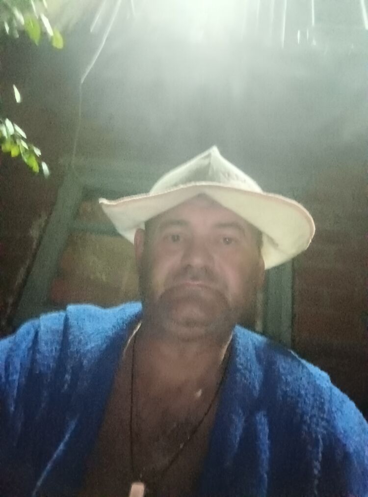  53203813  , 47 ,    