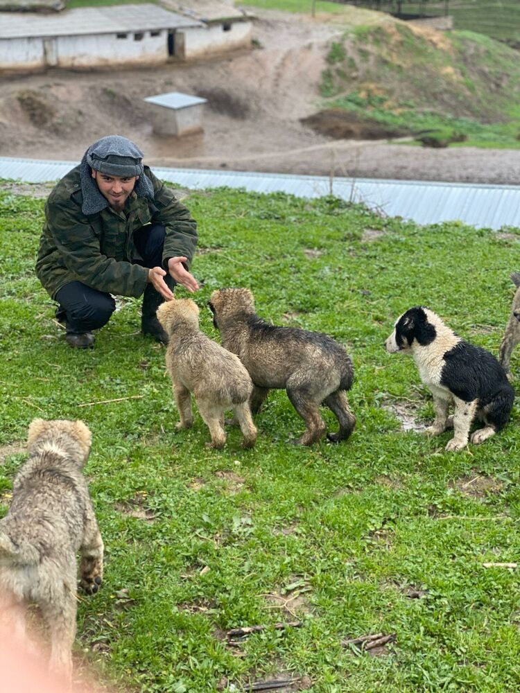 ���������� ����, ���� ������� ����, 28 ���, ������������ ��� ������, ����� � ���������