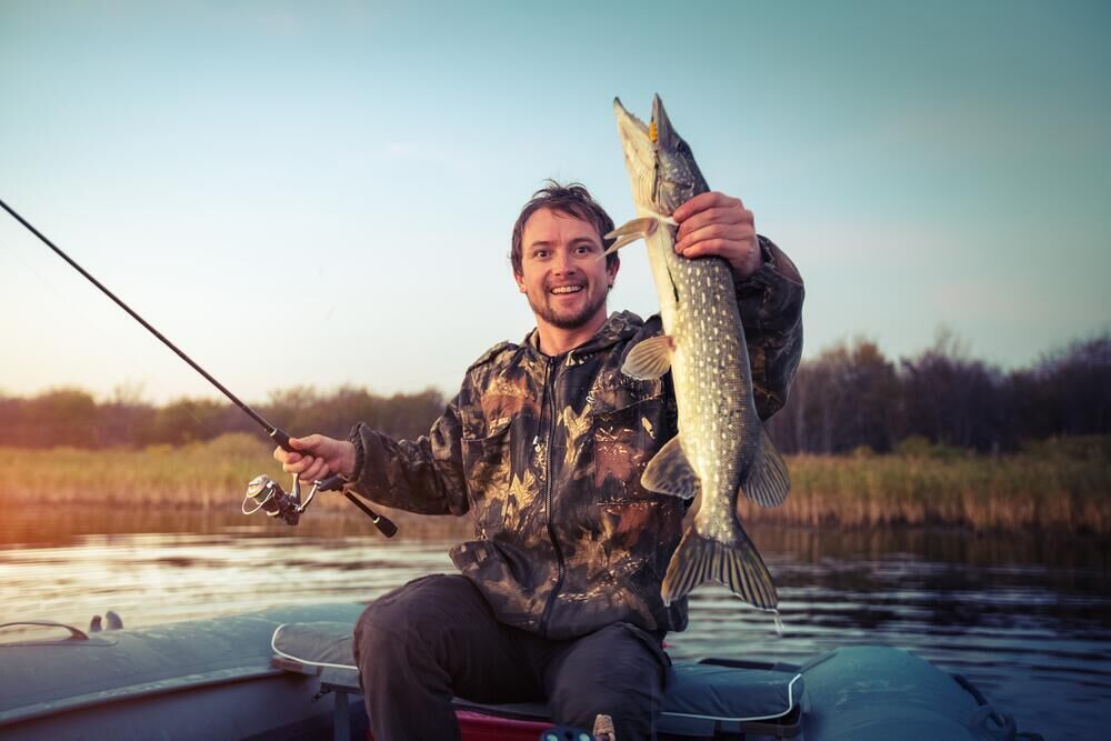 ���� 44599483 ������� ������, 40 ���, ���� ���������� � ���