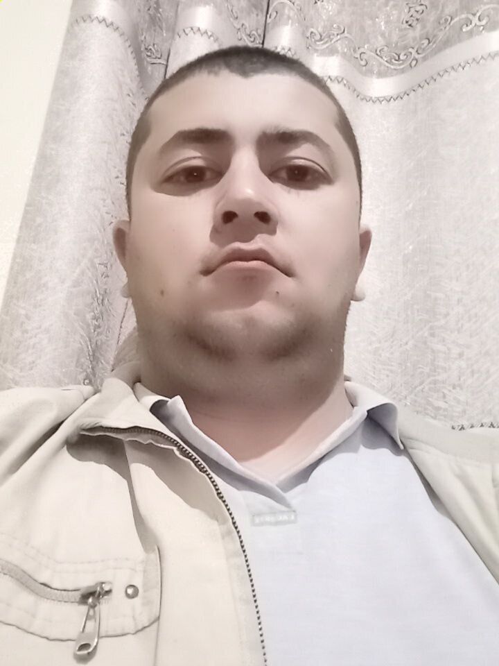  36098713  , 31 ,    