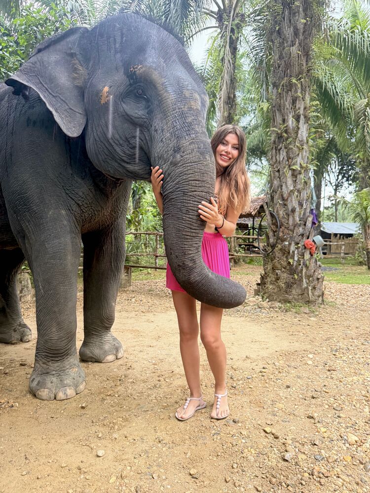 ���������� ����������, ���� ������� ������, 30 ���, ������������ ��� c�������� ���������