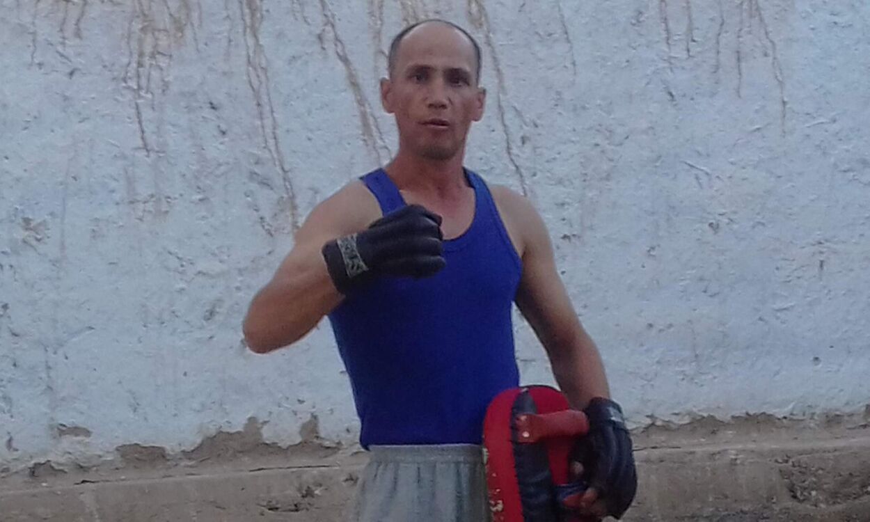  31035363  , 43 ,    