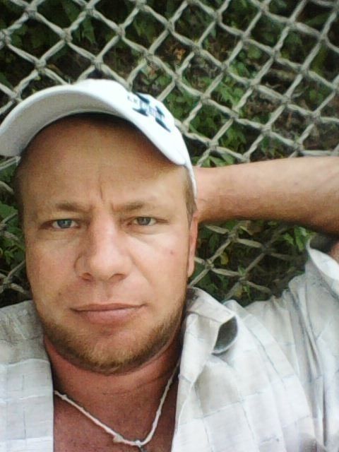 ���� 15728563 ������� �������, 44 ����, ���� ���������� � ������