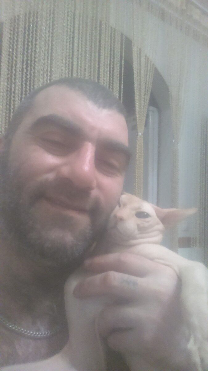  ,   ARMAN, 46 ,   ,   , c 