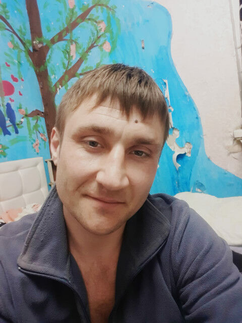 ���������� ������������, ���� ������� D�����, 37 ���, ������������ ��� ������, ����� � ���������, c�������� ���������