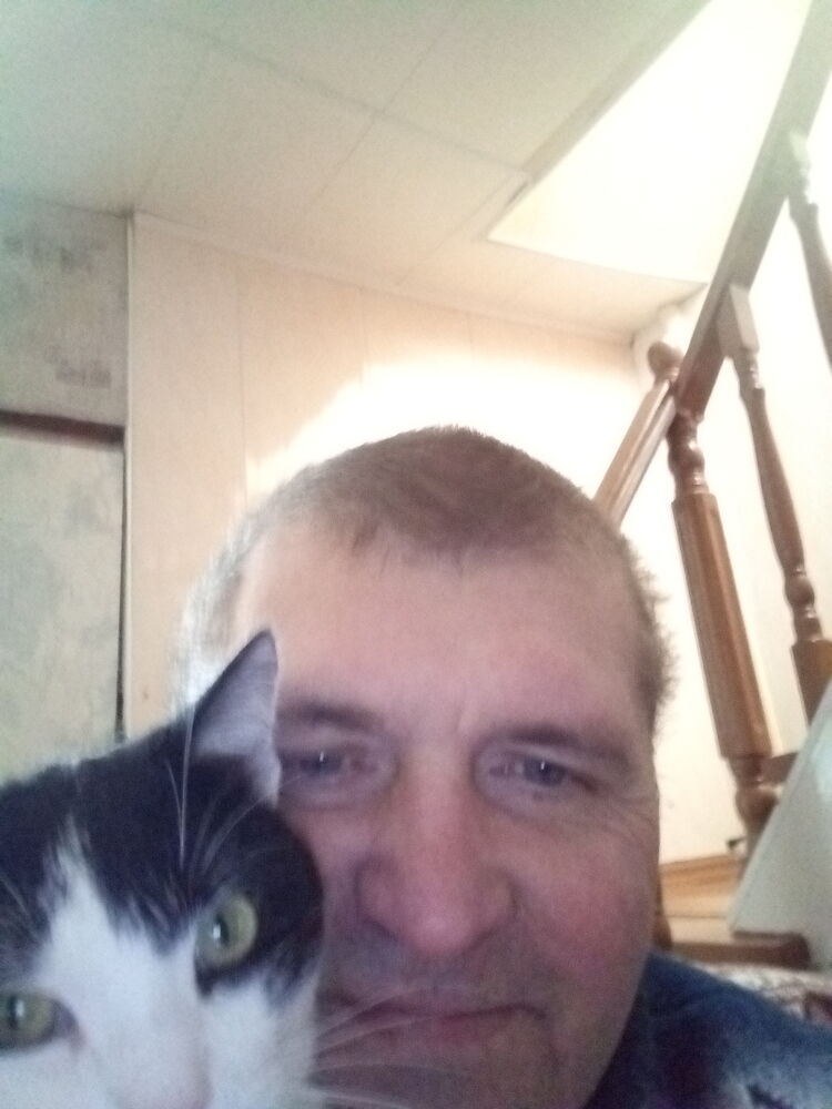  ,   , 53 ,   ,   