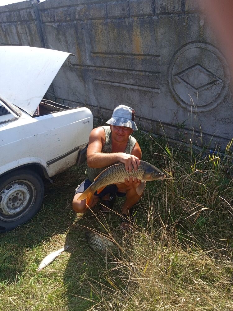  37192043  , 49 ,    