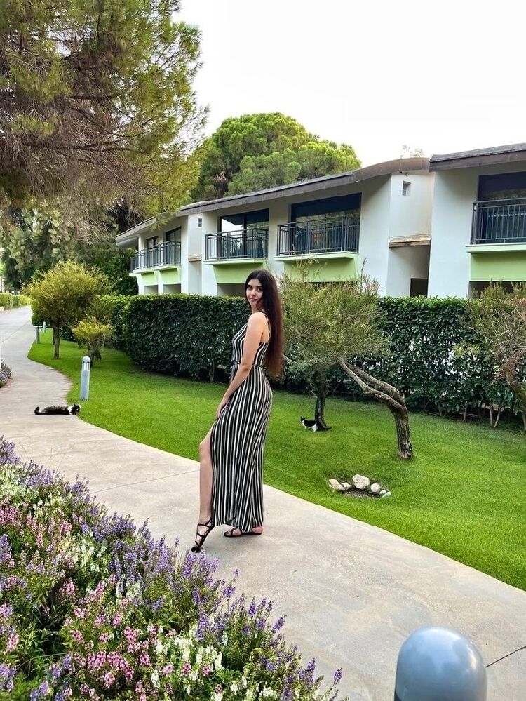 ���������� �����-���������, ���� ������� ����������, 29 ���, ������������ ��� ������, ����� � ���������, c�������� ���������, ���������