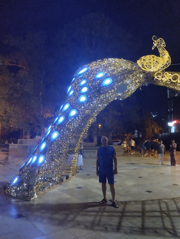  48041033  , 99 ,    
