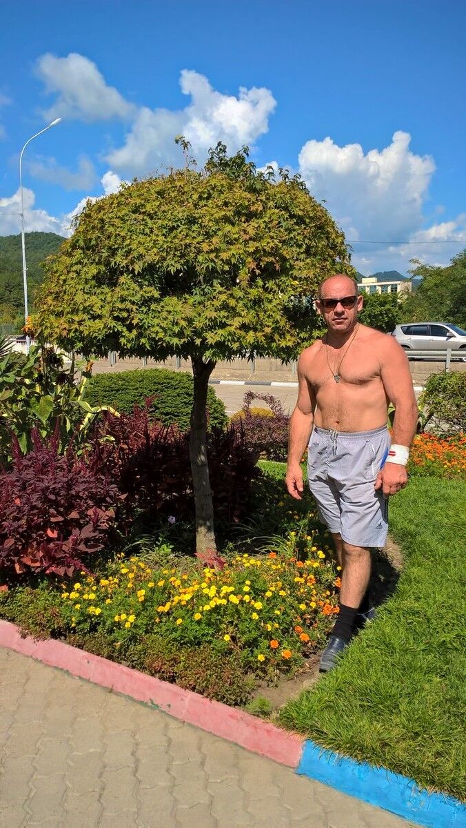 ���� 8242213 ������� ������, 64 ����, ���� ���������� � ������