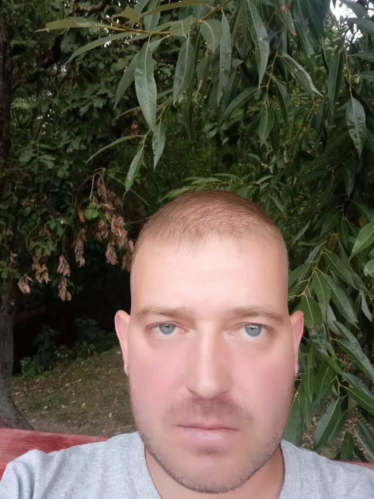  28817653  , 39 ,    