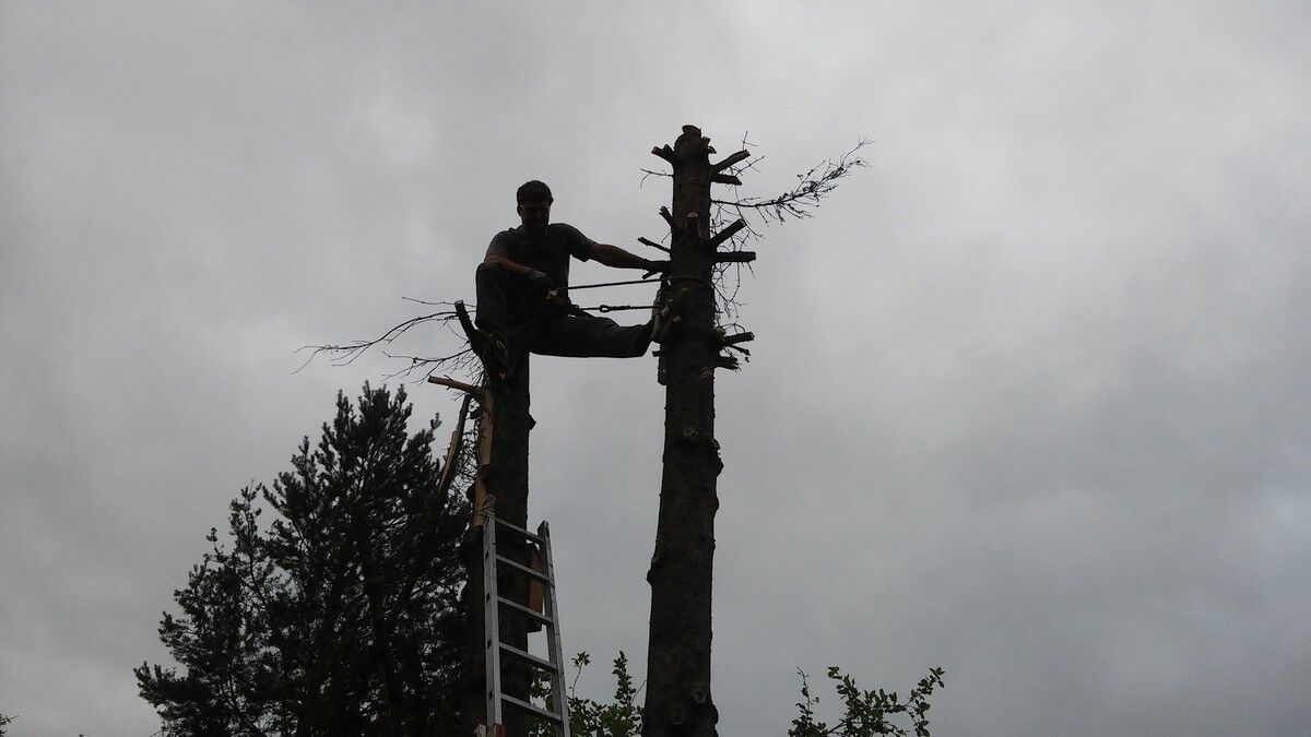  6514663  , 42 ,    -