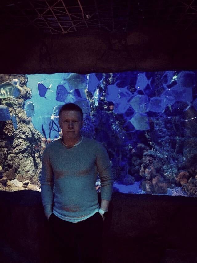  50914683  , 31 ,    