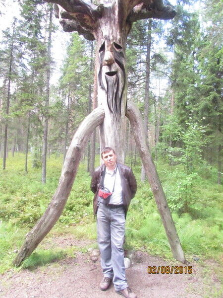 ���� 8127383 ������� �����, 53 ����, ���� ���������� � �������������