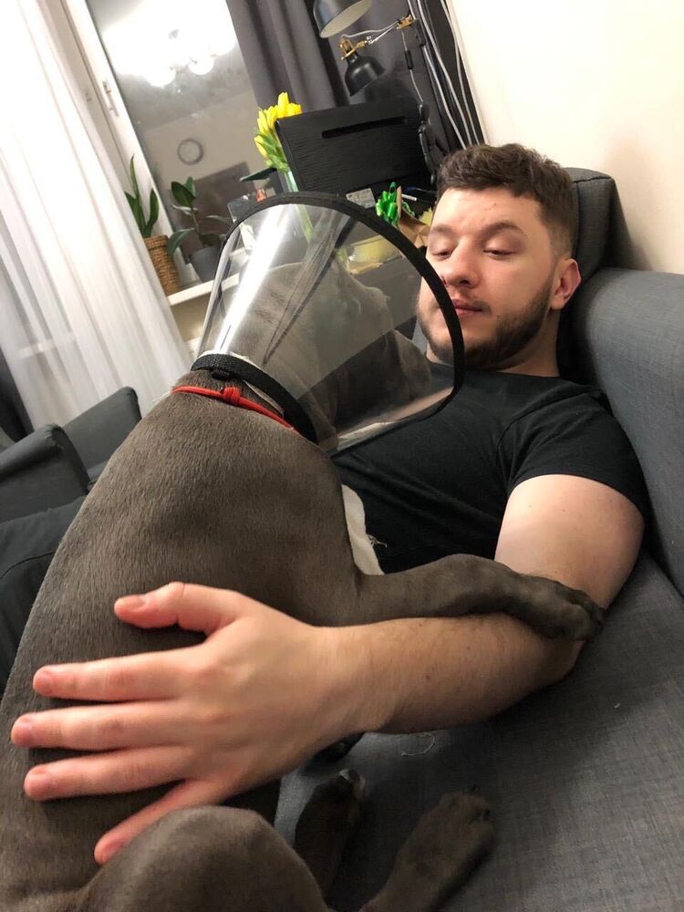 ���������� �����-���������, ���� ������� �����, 32 ����, ������������ ��� ������, ����� � ���������, c�������� ���������