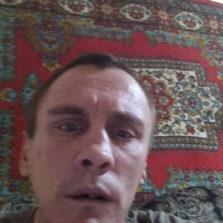 39412243  , 37 ,    