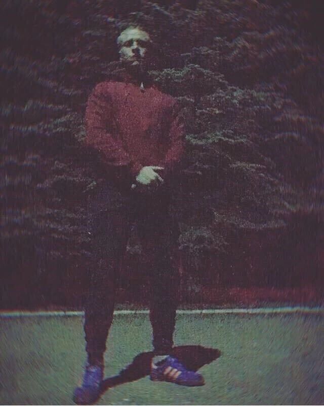  28282833  , 24 ,    
