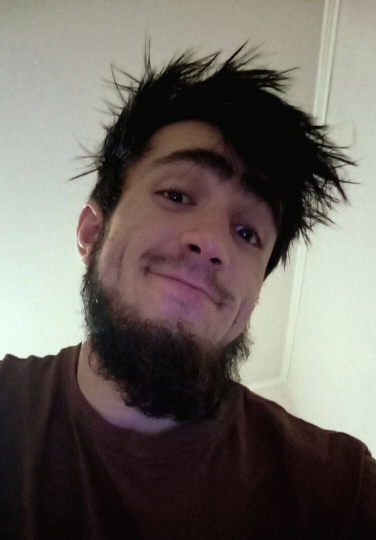 ���� 55288213 ����� �������, 23 ����, ���� ���������� � �������-�����