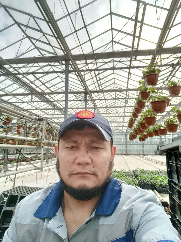 ���� 43193023 ������� �������, 41 ���, ���� ���������� � ������