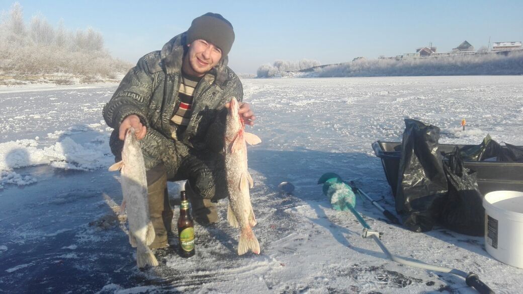 ���������� ���������, ���� ������� �������, 41 ���, ������������ ��� ������, ����� � ���������, c�������� ���������