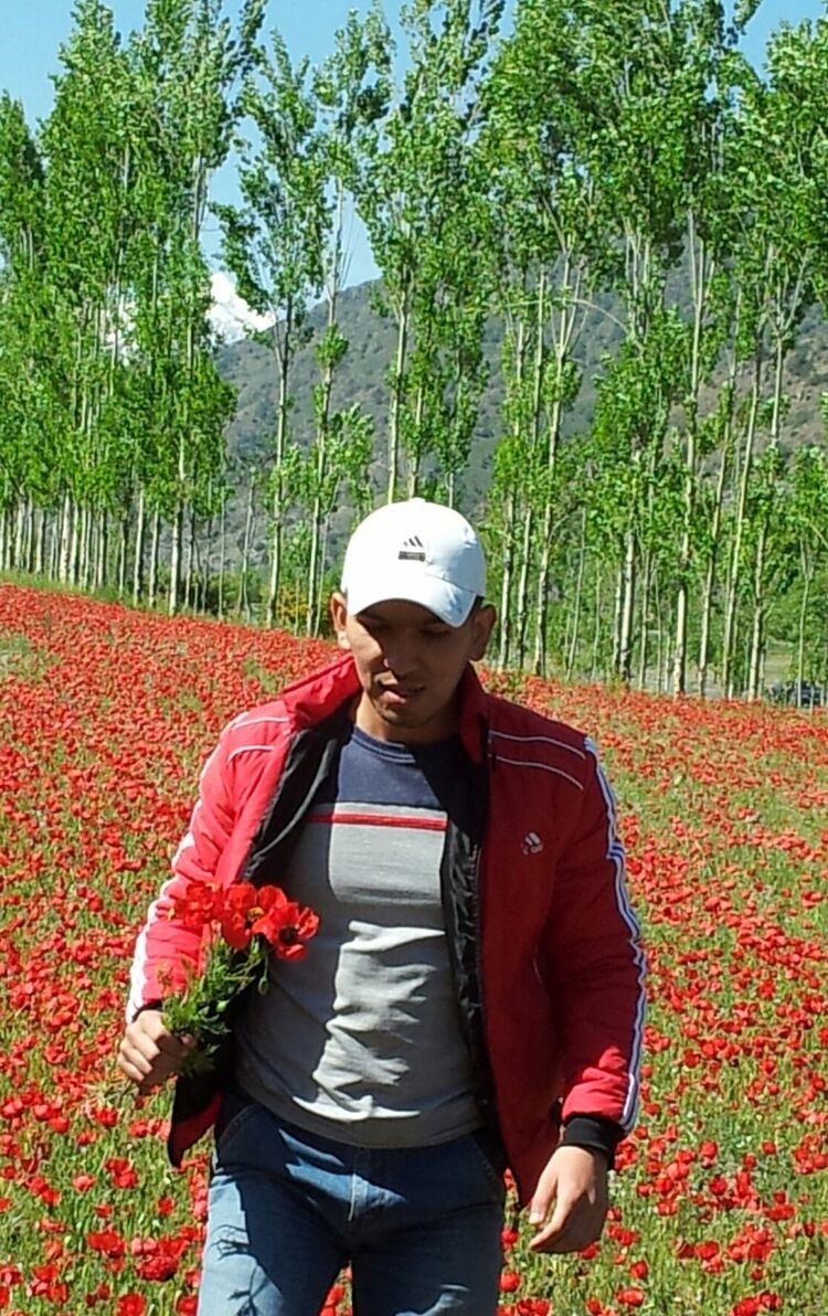 ���� 5306873 ������� ������, 38 ���, ���� ���������� � ��������