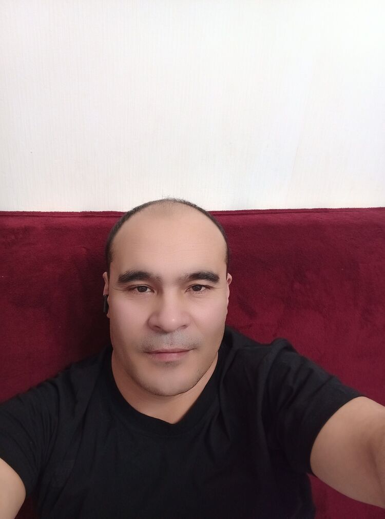  31740623  , 53 ,    -