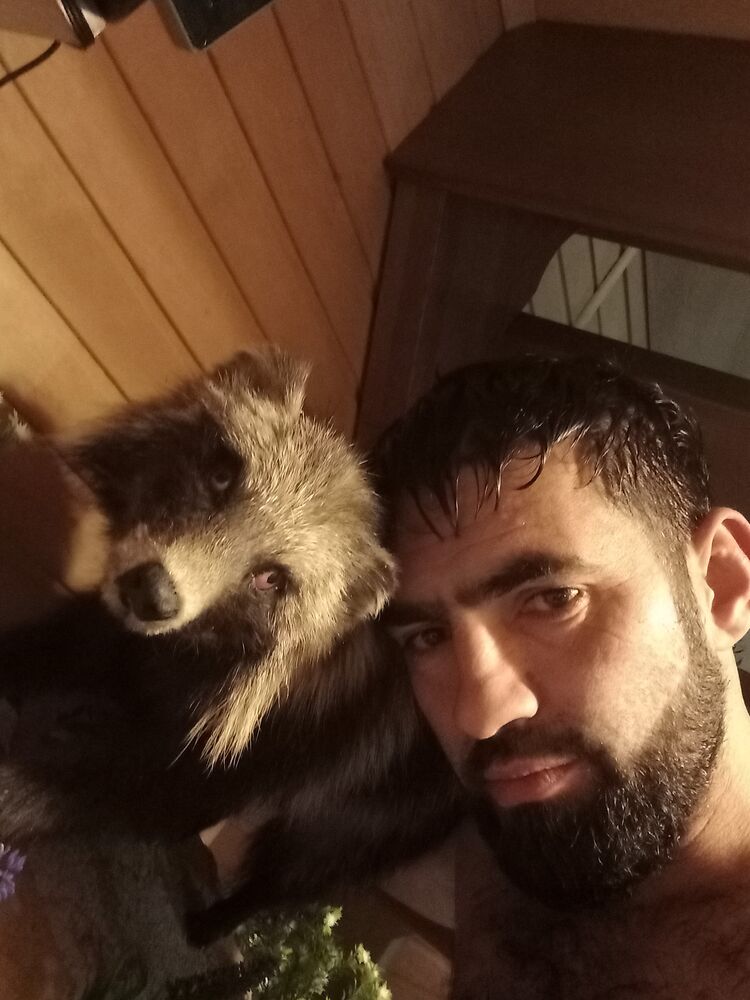 ���� 40877913 ������� ����������, 38 ���, ���� ���������� � ����