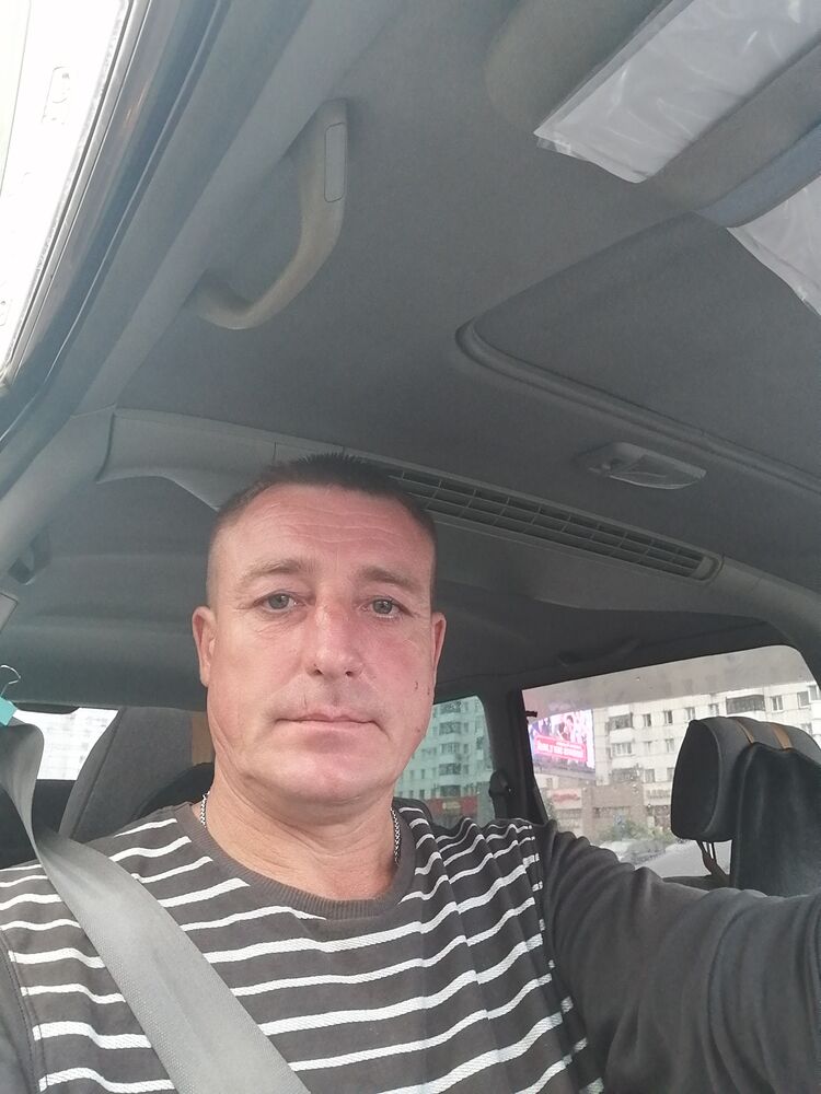  49313053  , 44 ,    